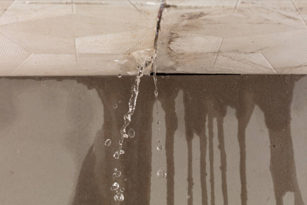 Professional Flood Damage Cleanup technician working in Lockport, IL